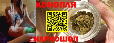 индика Шахты